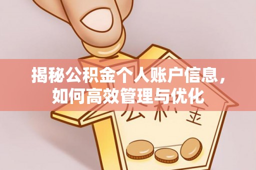 南屯揭秘公积金个人账户信息，如何高效管理与优化
