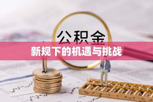 南屯新规下的机遇与挑战