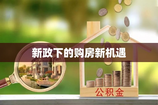 南屯新政下的购房新机遇