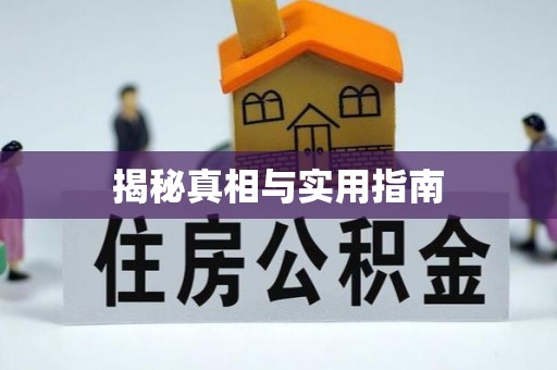 南屯揭秘真相与实用指南