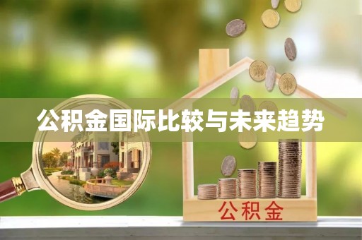 南屯公积金国际比较与未来趋势