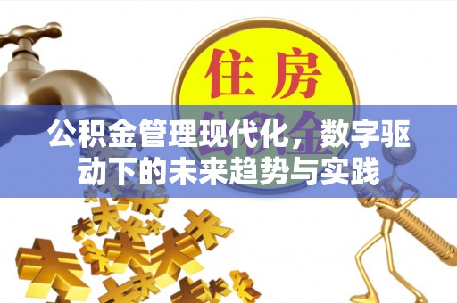 南屯公积金管理现代化，数字驱动下的未来趋势与实践