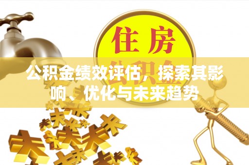 南屯公积金绩效评估，探索其影响、优化与未来趋势