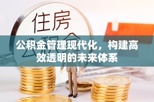 南屯公积金管理现代化，构建高效透明的未来体系