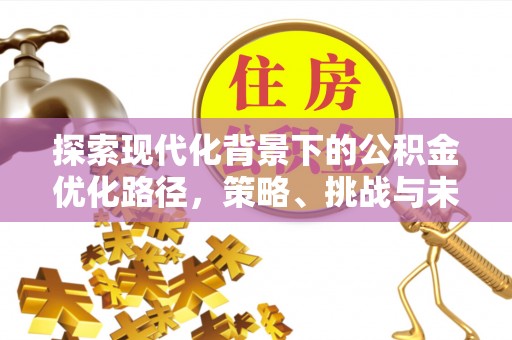 南屯探索现代化背景下的公积金优化路径，策略、挑战与未来展望