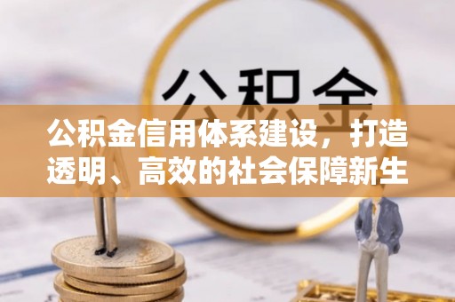 南屯公积金信用体系建设，打造透明、高效的社会保障新生态