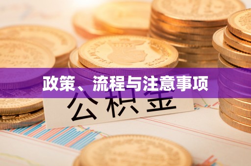 南屯政策、流程与注意事项