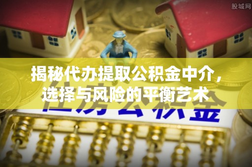 南屯揭秘代办提取公积金中介，选择与风险的平衡艺术