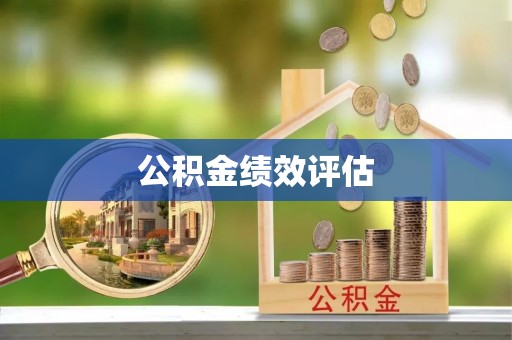 南屯公积金绩效评估
