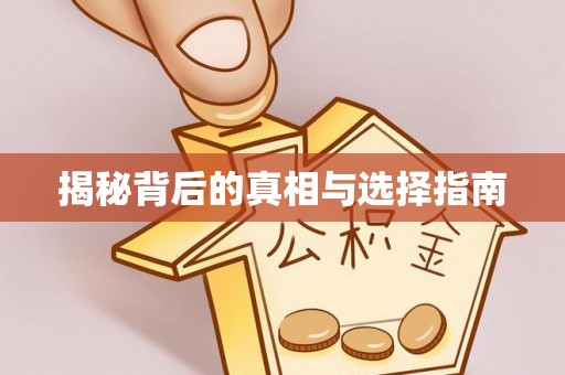 南屯揭秘背后的真相与选择指南
