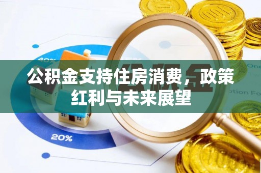 南屯公积金支持住房消费，政策红利与未来展望
