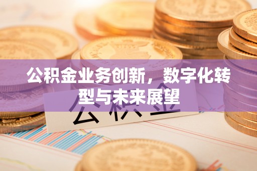 南屯公积金业务创新，数字化转型与未来展望