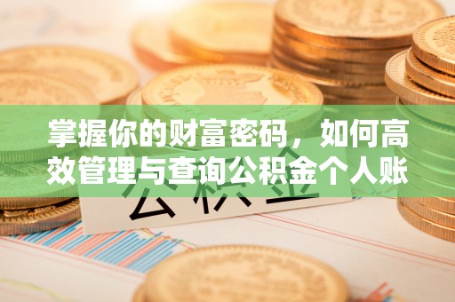 南屯掌握你的财富密码，如何高效管理与查询公积金个人账户信息