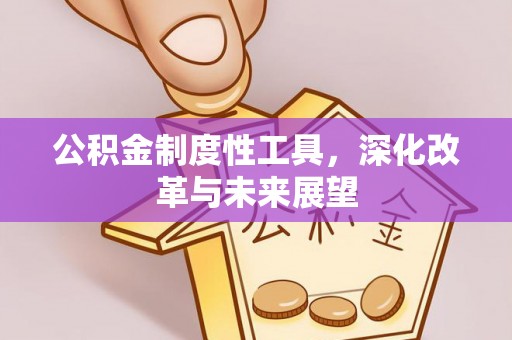 南屯公积金制度性工具，深化改革与未来展望