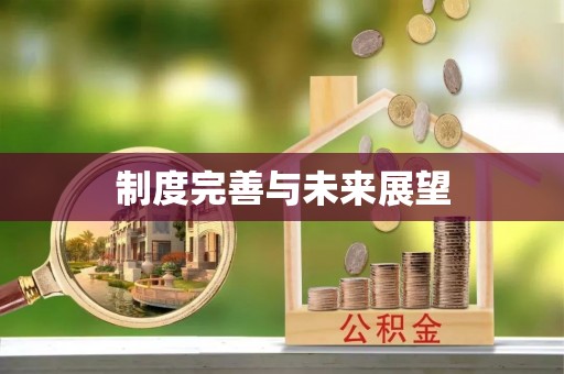 南屯制度完善与未来展望