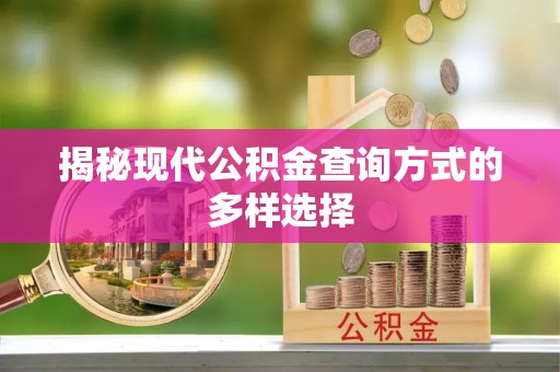 南屯揭秘现代公积金查询方式的多样选择