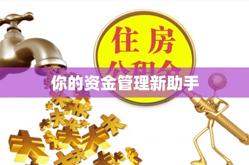 南屯你的资金管理新助手