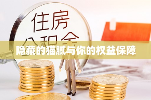 南屯隐藏的猫腻与你的权益保障