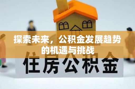 南屯探索未来，公积金发展趋势的机遇与挑战