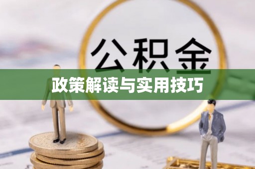 南屯政策解读与实用技巧
