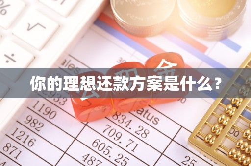 南屯你的理想还款方案是什么？