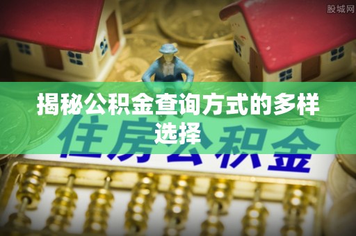 南屯揭秘公积金查询方式的多样选择