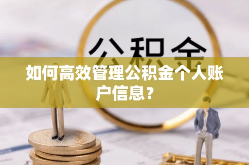 南屯如何高效管理公积金个人账户信息？