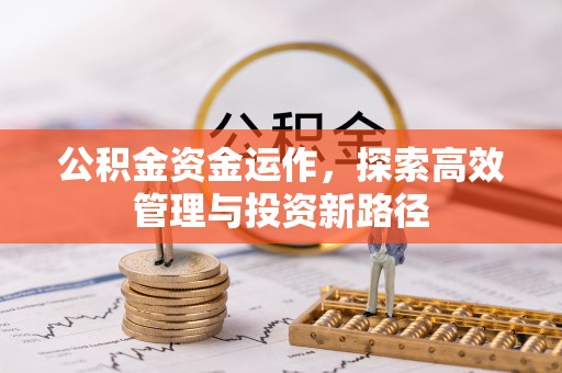 南屯公积金资金运作，探索高效管理与投资新路径