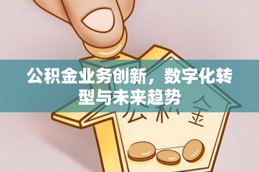南屯公积金业务创新，数字化转型与未来趋势