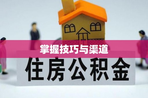 南屯掌握技巧与渠道