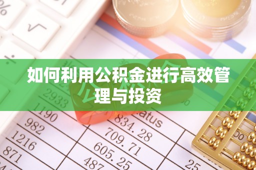 南屯如何利用公积金进行高效管理与投资