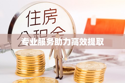 南屯专业服务助力高效提取