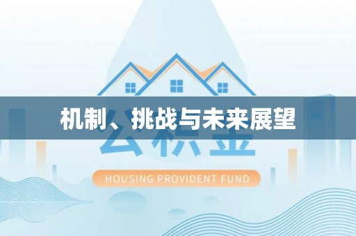 南屯机制、挑战与未来展望
