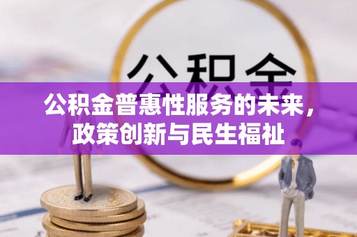 南屯公积金普惠性服务的未来，政策创新与民生福祉
