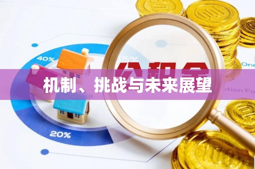 南屯机制、挑战与未来展望